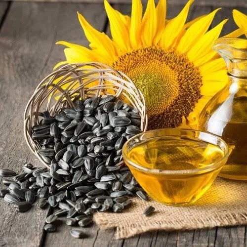 Sunflower Oil