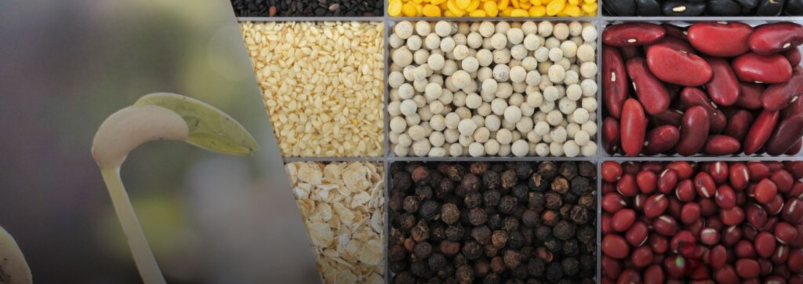 Untitled design (87) Untitled design (87)