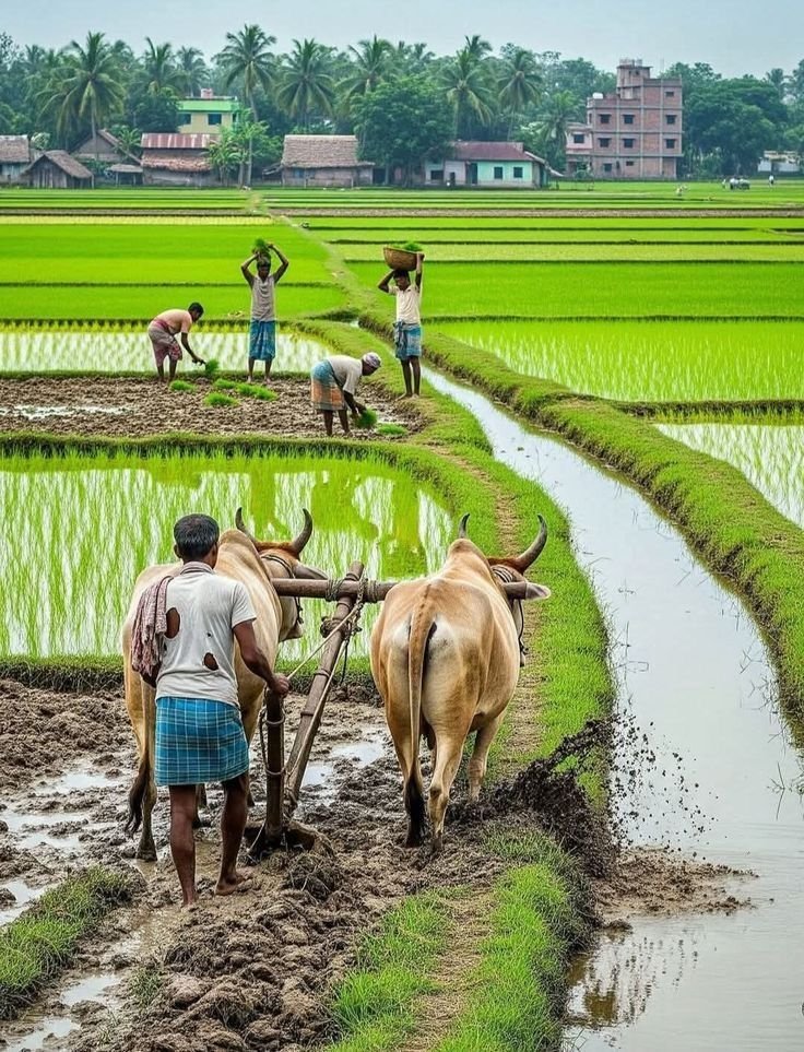 WhatsApp Image 2025-12-10 at 09.30.09